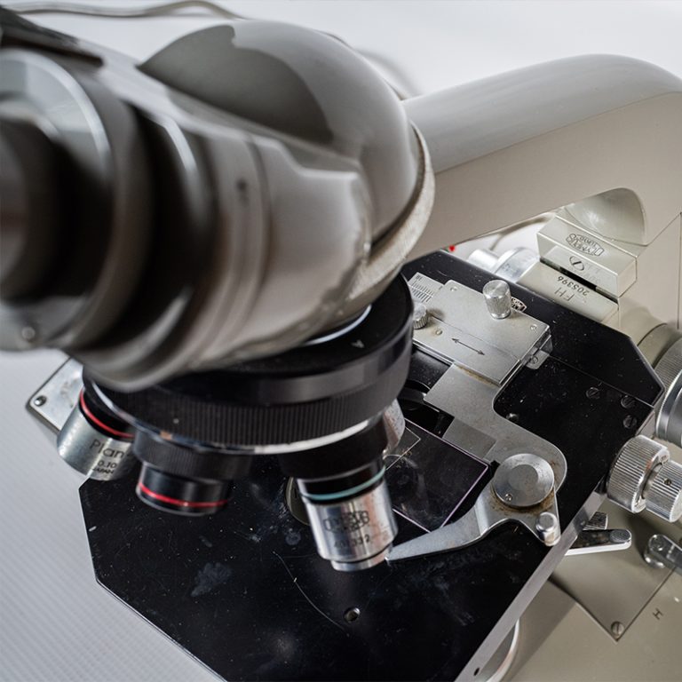 Optical Microscope 5
