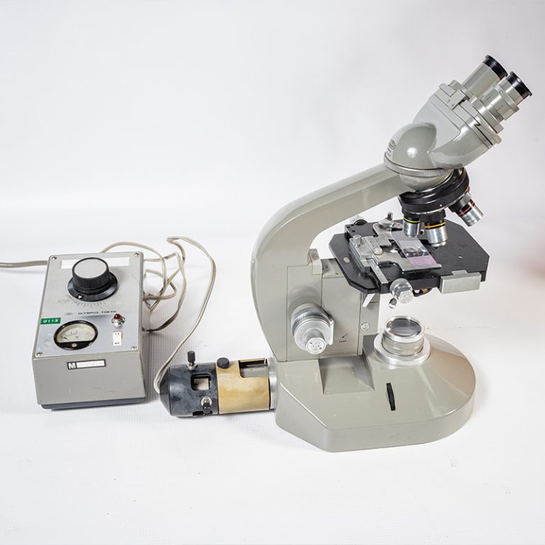 Optical Microscope 6