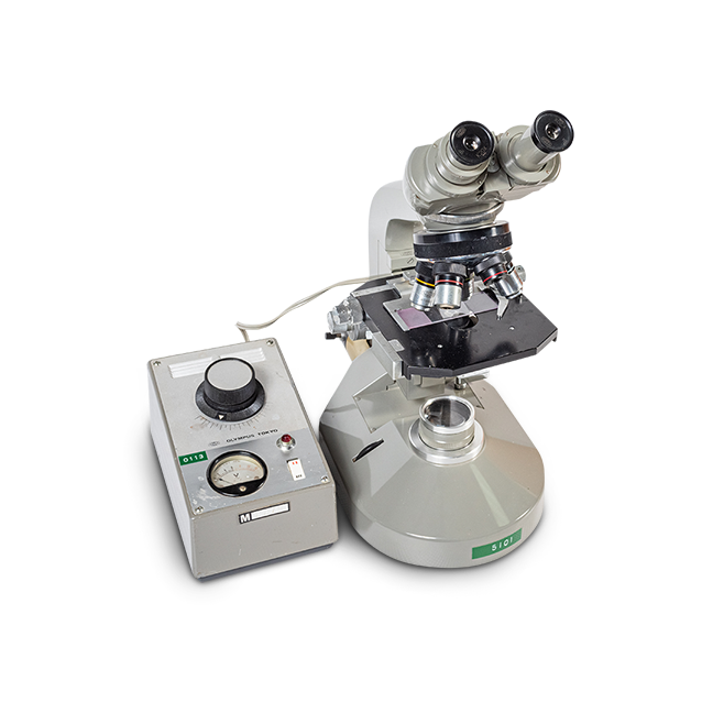 Optical Microscope Main